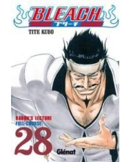 BLEACH 28 (COMIC)