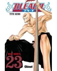 BLEACH 23 (COMIC)