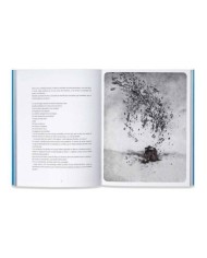 UNA BIBLIA. NUEVO TESTAMENTO (ILUSTRADO POR REBECCA DAUTREMER)