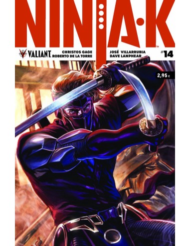 NINJA K 14