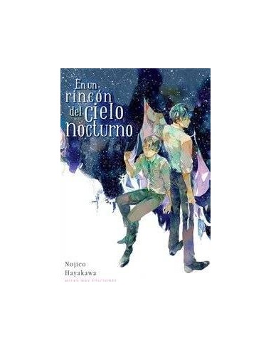 EN UN RINCON DEL CIELO NOCTURNO