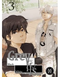 GREY IS 3