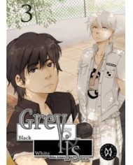 GREY IS 3 GREY IS 3