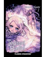TEGAMIBACHI 7