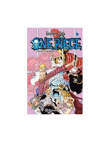 ONE PIECE 73