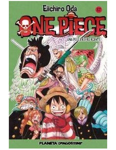 ONE PIECE 67