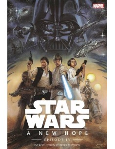 STAR WARS UNA NUEVA ESPERANZA HC STAR WARS UNA NUEVA ESPERANZA HC