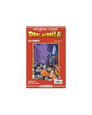 DRAGON BALL SERIE ROJA 213