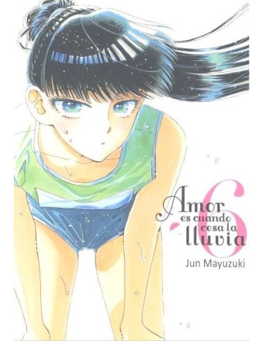 AMOR ES CUANDO CESA LA LLUVIA VOL 6	