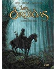 LOS DRUIDAS 01. EL MISTERIO DE LOS OGAMS
