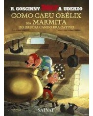COMO CAEU OBELIX NA MARMITA DO DRUIDA CANDO ERA CATIVO (GALE