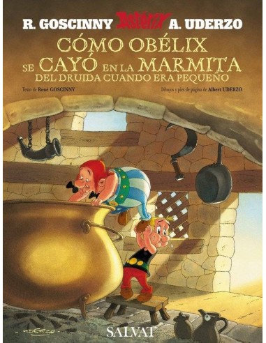 COMO OBELIX SE CAYO EN LA MARMITA DEL DRUIDA CUANDO ERA PEQUEÑO