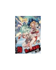 DR. STONE 10