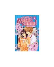 KAICHOU WA MAID-SAMA! 07 (COMIC)