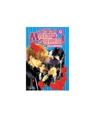 KAICHOU WA MAID-SAMA! 06 (COMIC)