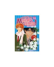 KAICHOU WA MAID-SAMA! 13 (COMIC)