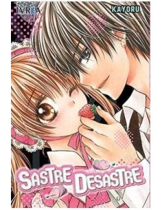 SASTRE DESASTRE (TOMO UNICO)