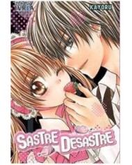 SASTRE DESASTRE (TOMO UNICO)