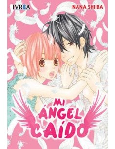 MI ANGEL CAIDO (TOMO UNICO)