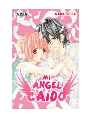 MI ANGEL CAIDO (TOMO UNICO)