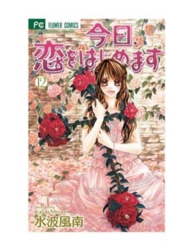 HOY COMIENZA NUESTRO AMOR 12 (COMIC)