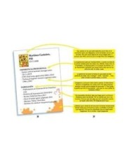 LO QUE NUNCA TE CONTARON SOBRE... EL TRABAJO