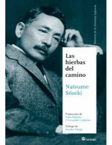 HIERBAS DEL CAMINO,LAS 978849361989  19,01 € HIERBAS DEL CAMINO,LAS 978849361989  19,01 €