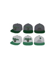 Gorra Slytherin Harry Potter surtido