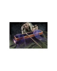 Varita Albus Dumbledore Harry Potter