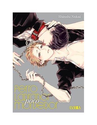 PERRO LADRADOR, POCO MORDEDOR