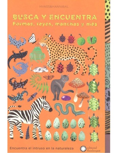 BUSCA Y ENCUENTRA FORMAS RALLAS MANCHAS Y MAS