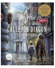 HARRY POTTER: LA GUIA POP-UP DEL CALLEJON DIAGON