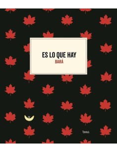 ES LO QUE HAY ES LO QUE HAY