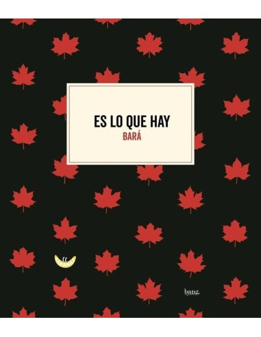 ES LO QUE HAY ES LO QUE HAY