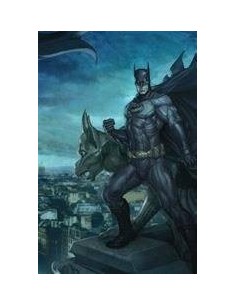 Batman vol. 11: La mirada del observador (Batman Saga - Batman Renacido parte 7) Batman vol. 11: La mirada del observador (Batman Saga - Batman Renacido parte 7)