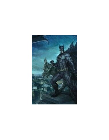 Batman vol. 11: La mirada del observador (Batman Saga - Batman Renacido parte 7) Batman vol. 11: La mirada del observador (Batman Saga - Batman Renacido parte 7)