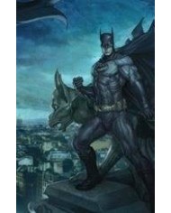 Batman vol. 11: La mirada del observador (Batman Saga - Batman Renacido parte 7)