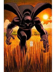 MARVEL MUST-HAVE. ¿QUIEN ES PANTERA NEGRA? MARVEL MUST-HAVE. ¿QUIEN ES PANTERA NEGRA?