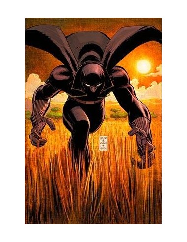 MARVEL MUST-HAVE. ¿QUIEN ES PANTERA NEGRA?