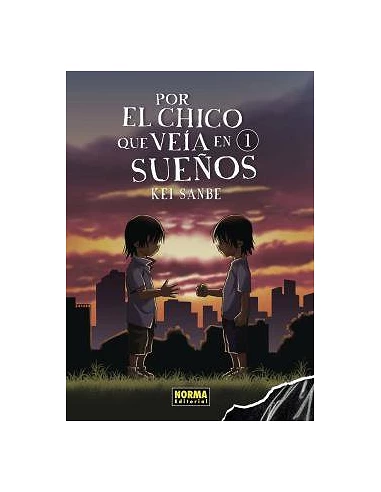 POR EL CHICO QUE VEIA EN SUEÑOS 01 (ED. ESPECIAL)