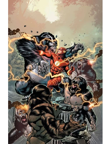 Flash vol. 07: El juicio de las fuerzas (Flash Saga - La búsqueda de la Fuerza Parte 2)
