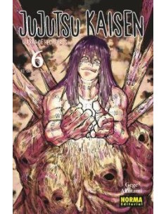 JUJUTSU KAISEN 06 9788467961164 JUJUTSU KAISEN 06 9788467961164