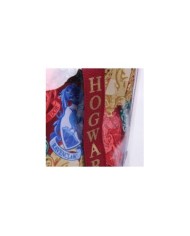 Bolso transparente Harry Potter HARRY POTTER22,95 €22,95 € CERDÁ HA...