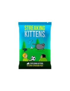 STREAKING KITTENS