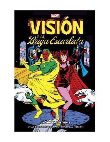 LA VISION Y LA BRUJA ESCARLATA.  UN AÑO EN SUS VIDAS