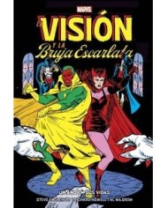 LA VISION Y LA BRUJA ESCARLATA.  UN AÑO EN SUS VIDAS