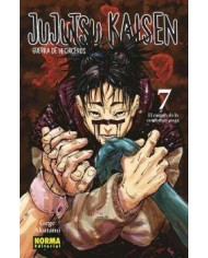 JUJUTSU KAISEN 07 9788467961171 JUJUTSU KAISEN 07 9788467961171