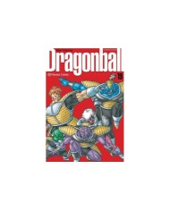 DRAGON BALL ULTIMATE 19 DRAGON BALL ULTIMATE 19