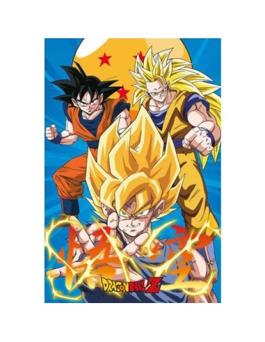 POSTER DRAGON BALL Z 3 GOKUS EVO POSTER DRAGON BALL Z 3 GOKUS EVO