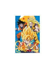 POSTER DRAGON BALL Z 3 GOKUS EVO